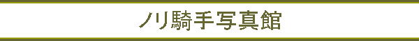 ノリ騎手写真館